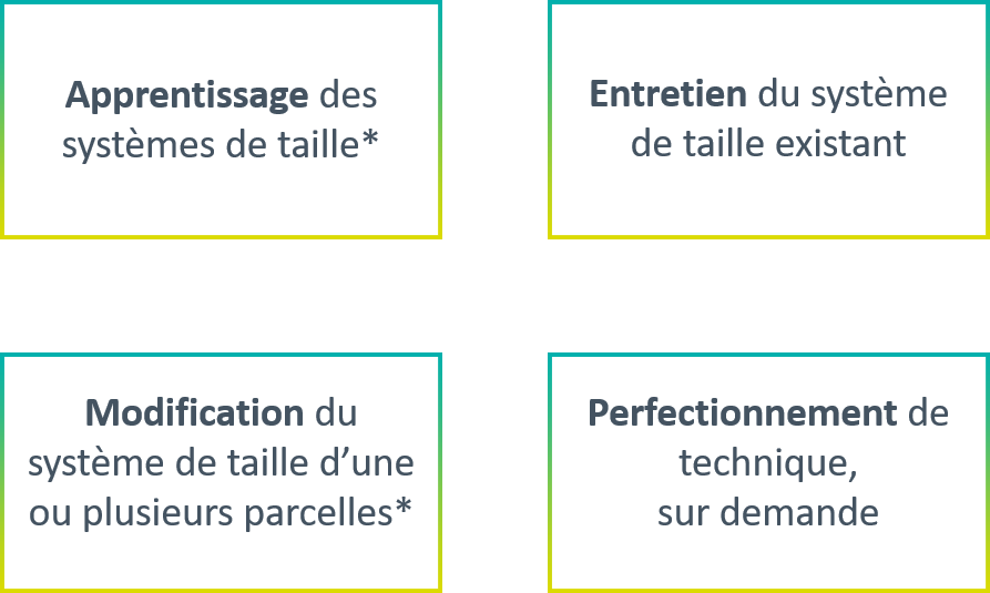 Formations taille de la vigne